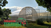 Теплица сверхпрочная Сибирская XXL 6 метров (ТРУБА 40х20, шаг 0,67)