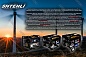 Генератор бензиновый Shtenli PRO 1900 (1,1 кВт) одна розетка 220В